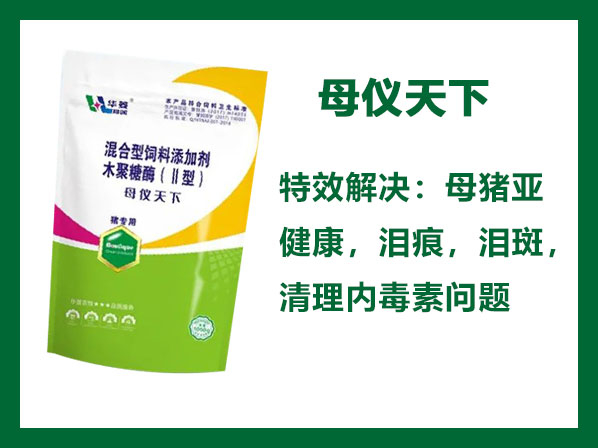 母儀天下---專業解決母豬亞健康問題